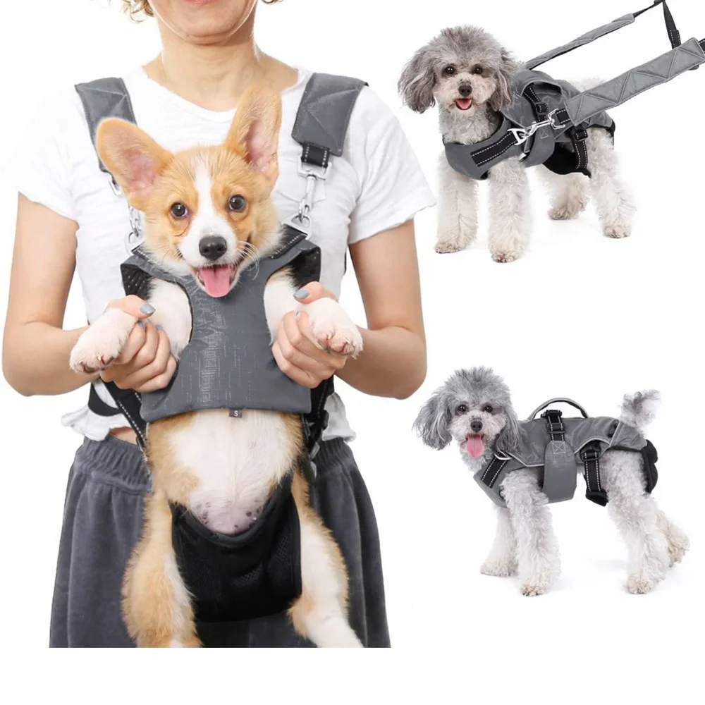 3 in 1 pet carrier backpack size M